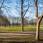 Frogner II, As Home